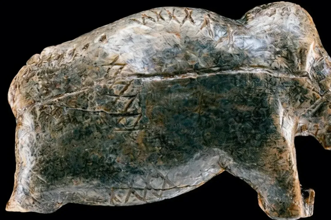 Ученые обнаружили доказательства существования письменности около 40 тысяч лет назад (фото)