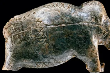 Вчені знайшли докази існування писемності близько 40 тисяч років тому (фото)