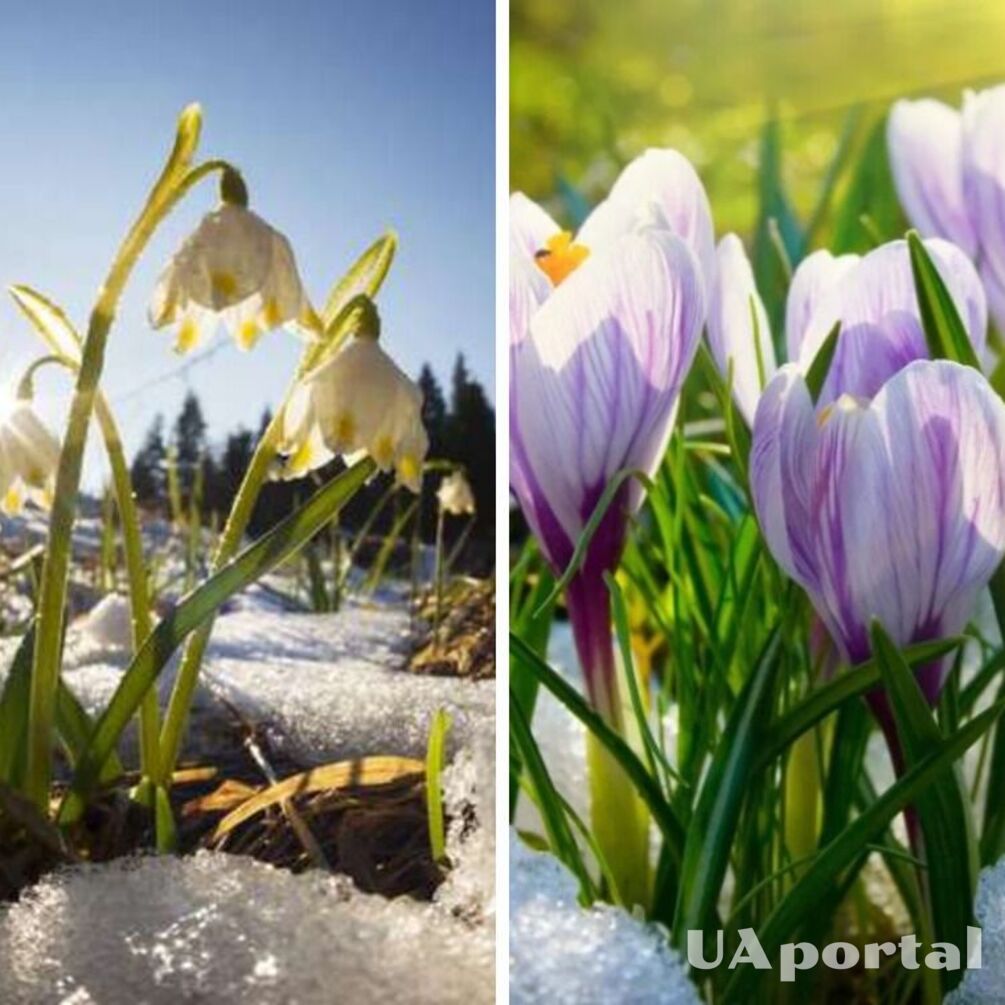 Холодний березень та спекотний травень: синоптики спрогнозували, якою буде весна цього року