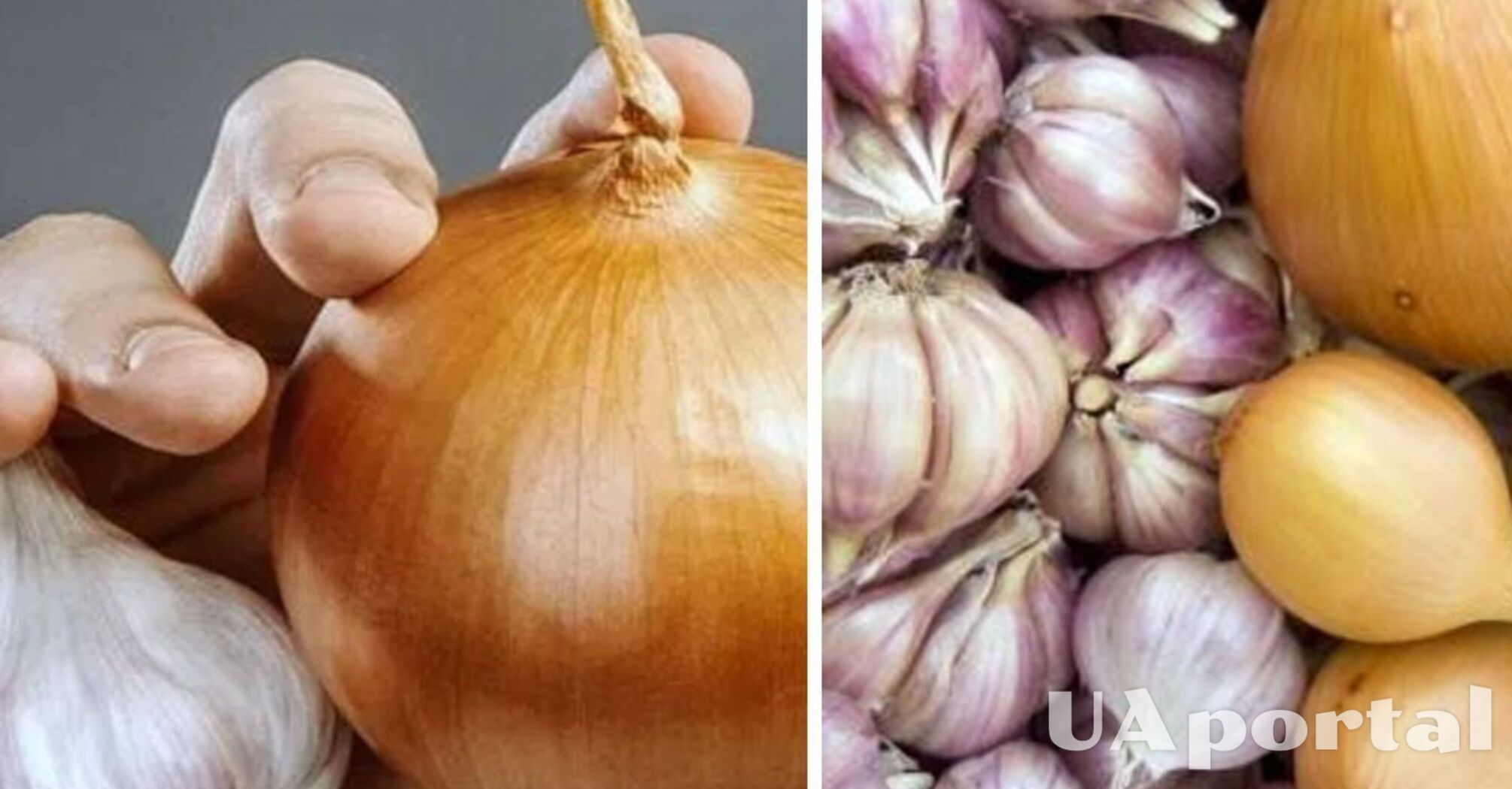 В Украине подорожали популярные овощи: какая цена за килограмм