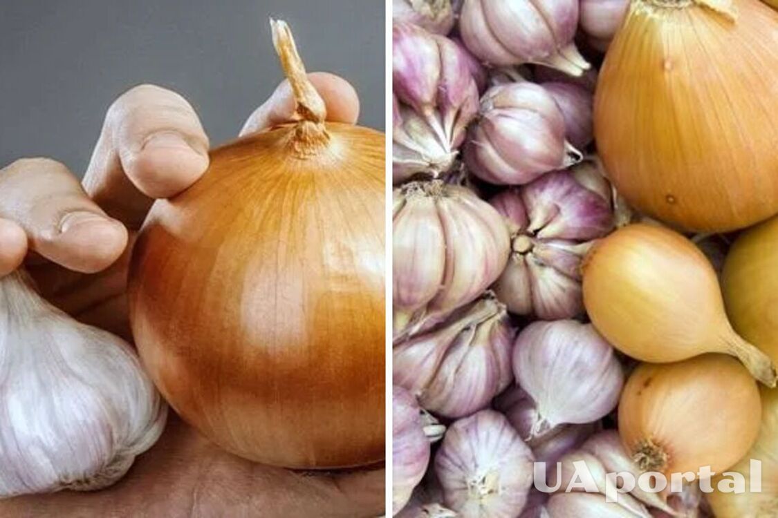 В Україні подорожчали популярні овочі: яка ціна за кілограм