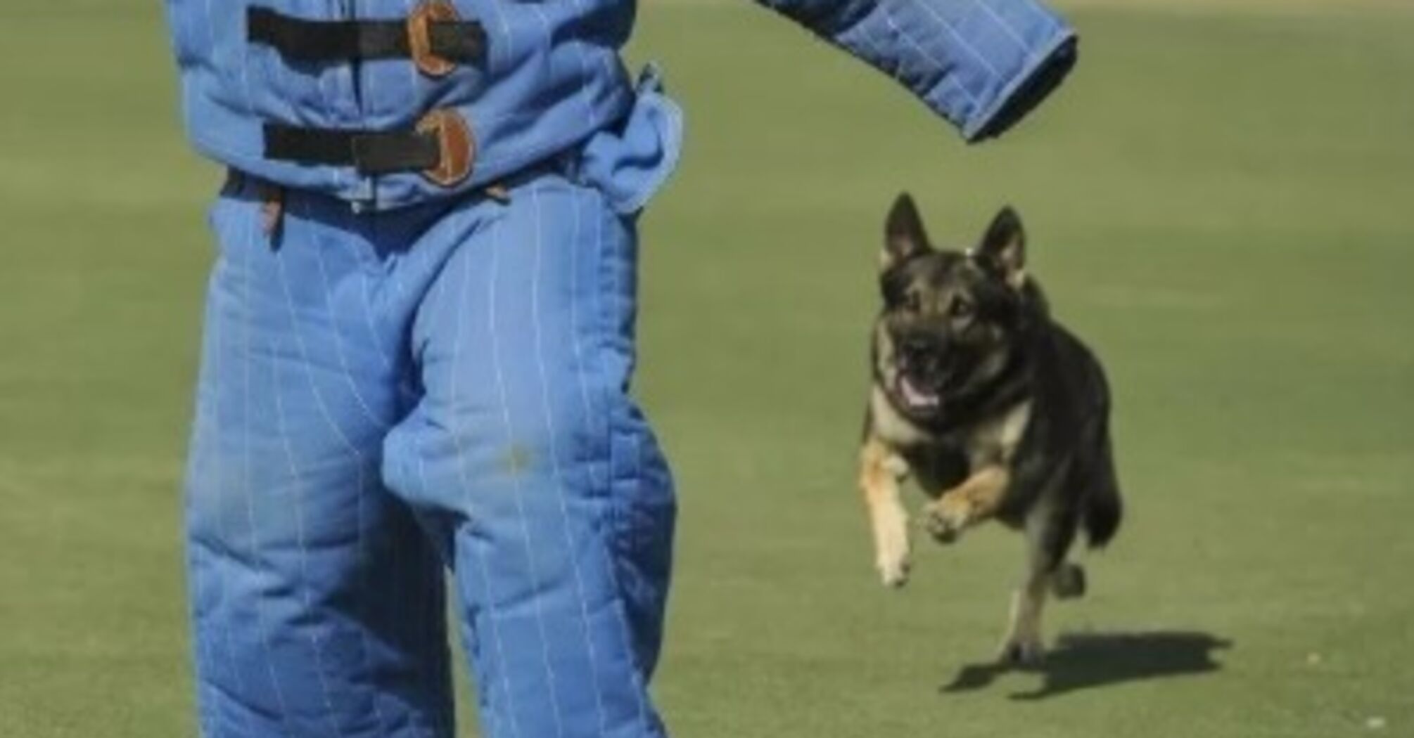 Российские власти сказали ценам: 'ФАС'