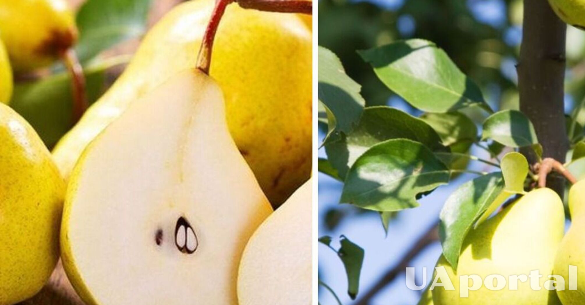 Цены подскочили более чем вдвое: в Украине подорожал популярный фрукт