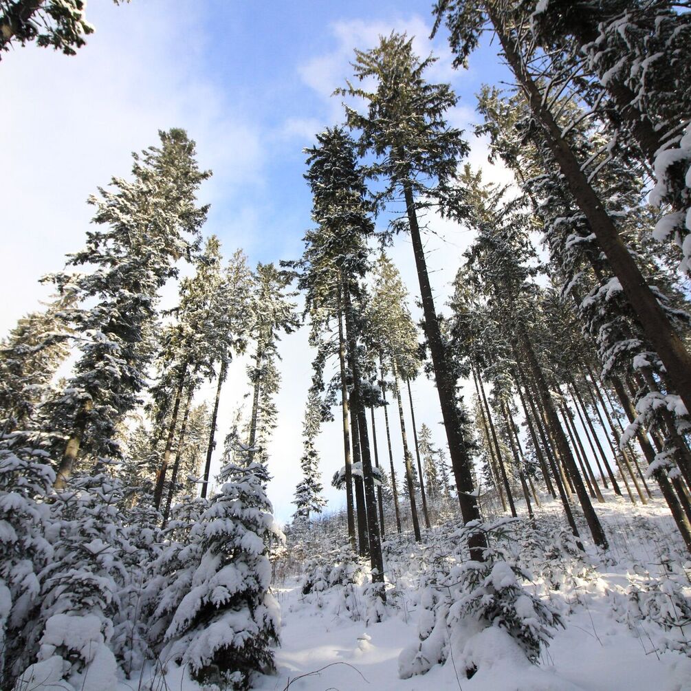 Україну накриє хвиля скандинавського походження: коли знову похолодає