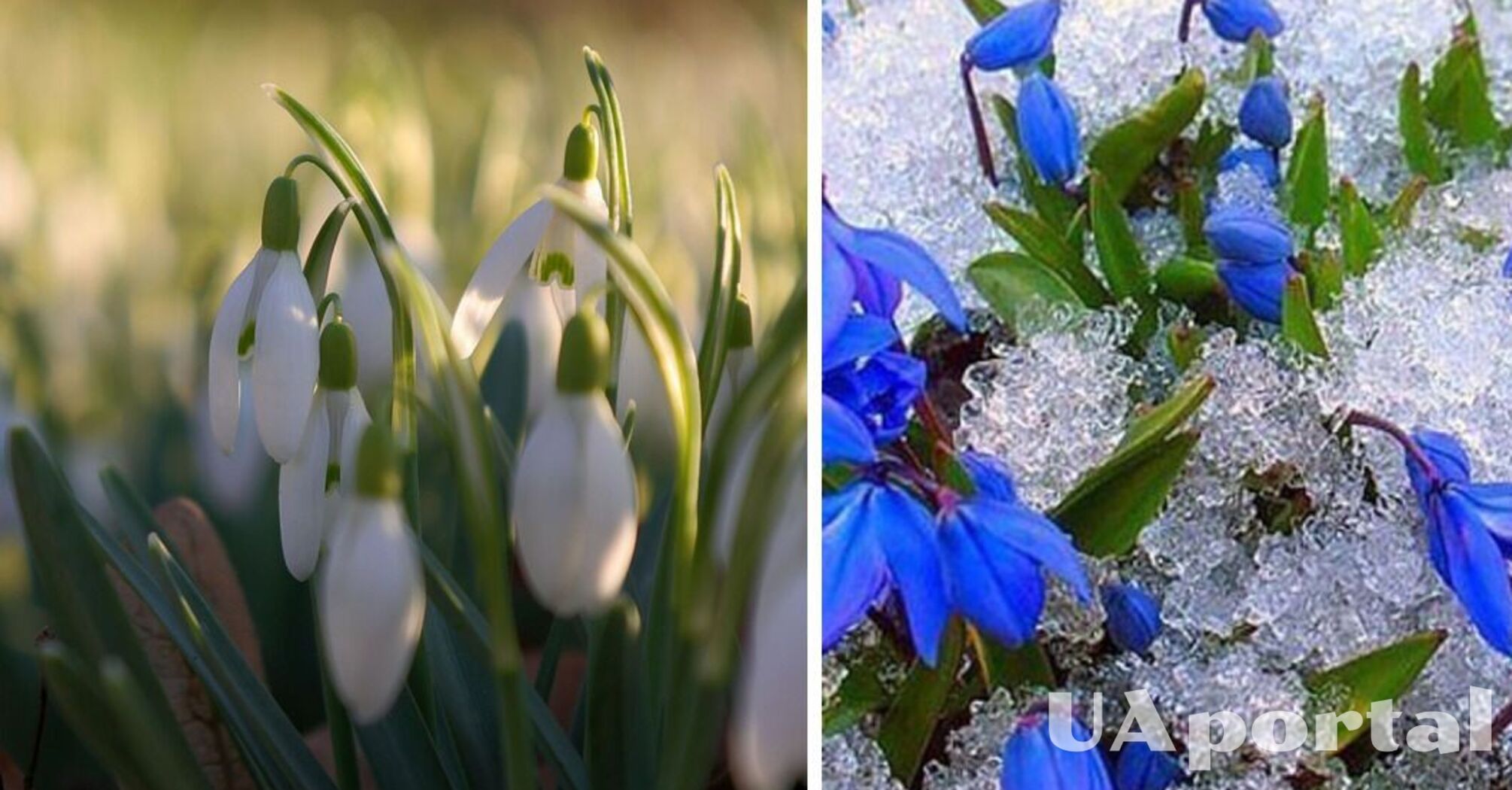 Настоящее весеннее тепло до 17 градусов: прогноз погоды на 10 марта