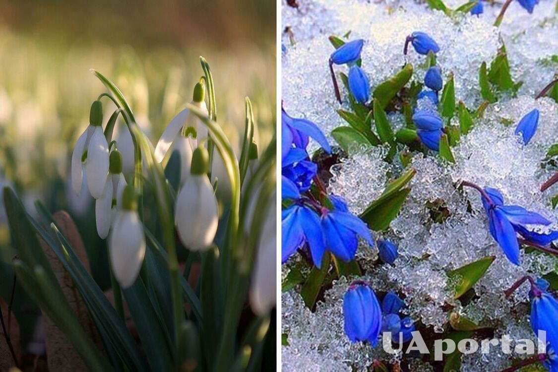 Настоящее весеннее тепло до 17 градусов: прогноз погоды на 10 марта