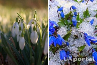 Справжнє весняне тепло до 17 градусів: прогноз погоди на 10 березня