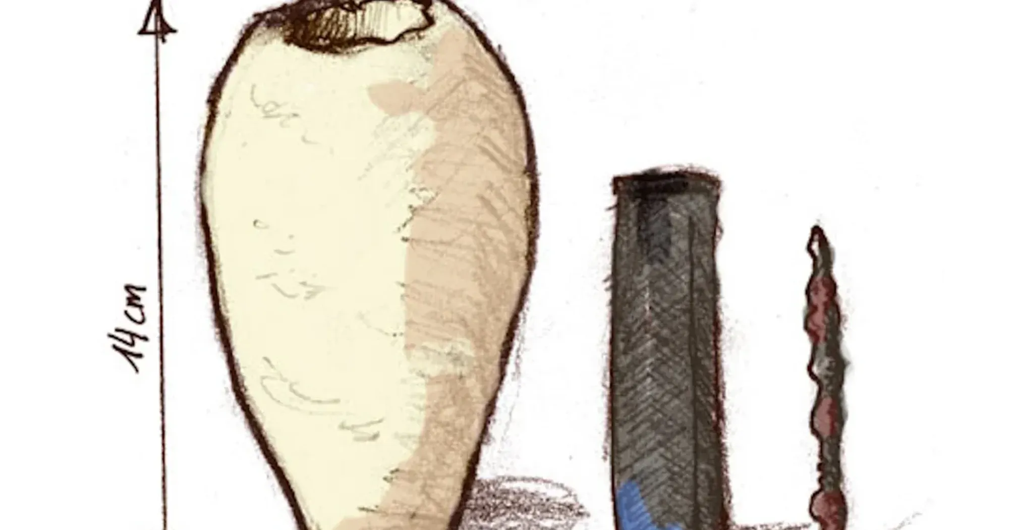 Люди использовали электричество на тысячелетия раньше, чем мы думали: учёные нашли доказательства