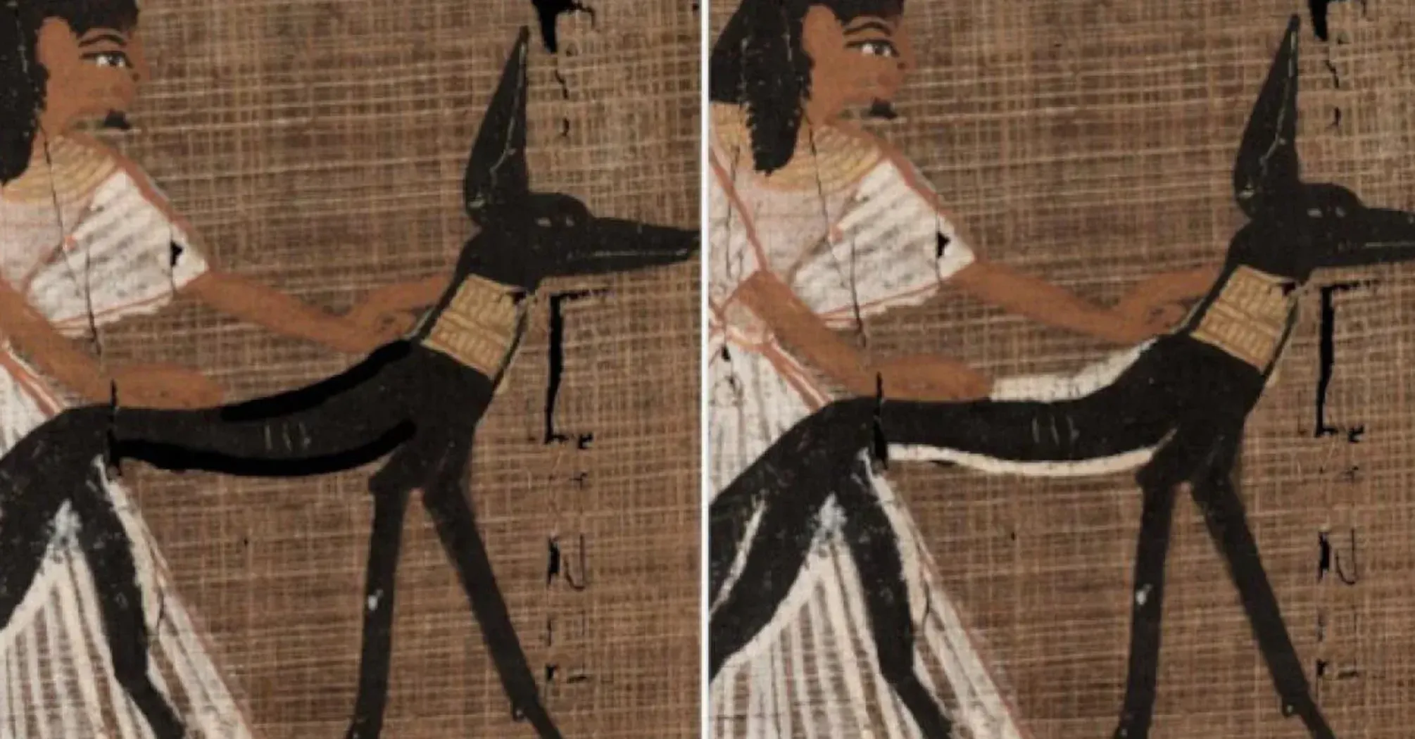 Навіть тоді був 'коректор': вчені дізнались, як древні єгипетські переписувачі виправляли помилки (фото)