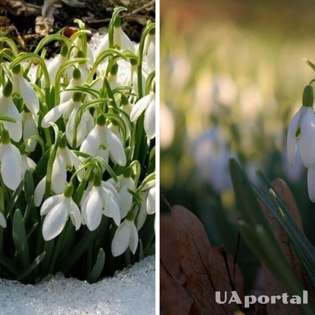 В Украину возвращается похолодание: когда ждать снегопадов