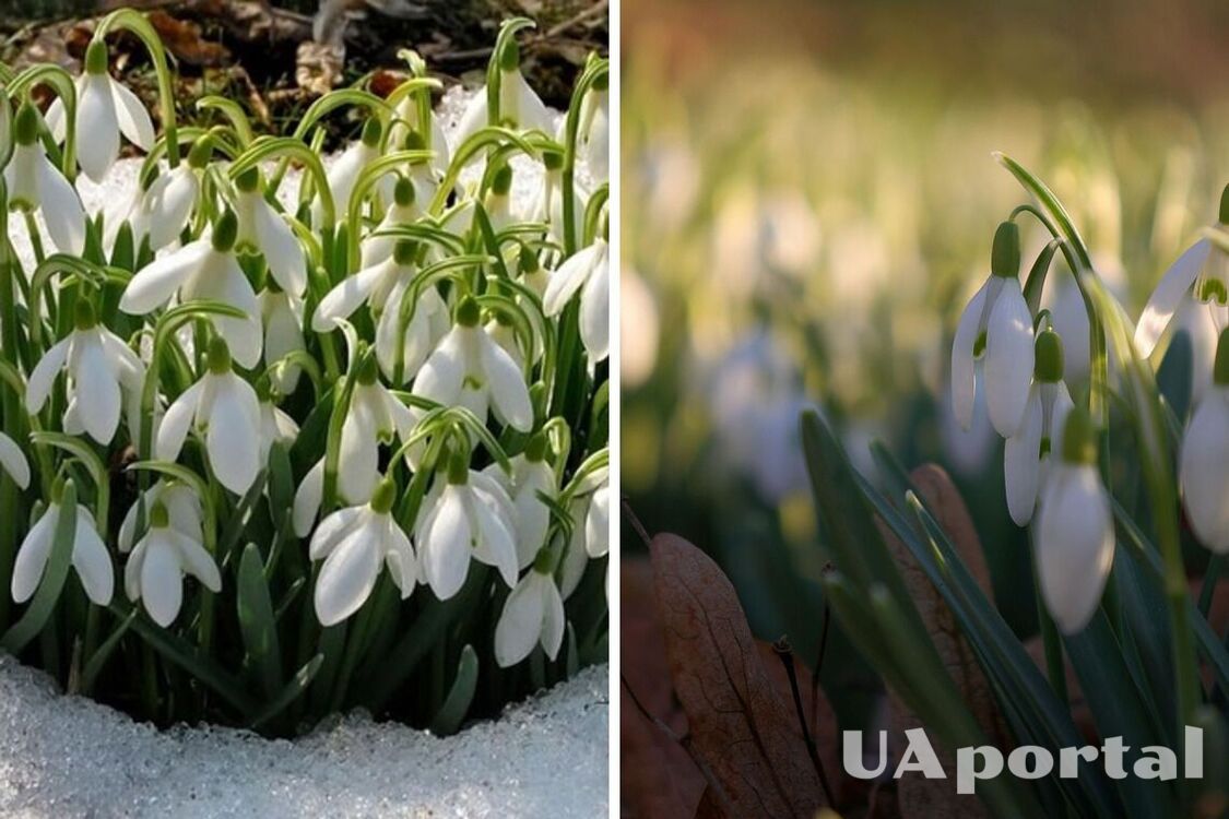 До України повертається похолодання: коли очікувати снігопадів