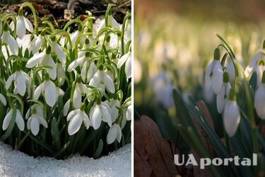 В Украину возвращается похолодание: когда ждать снегопадов