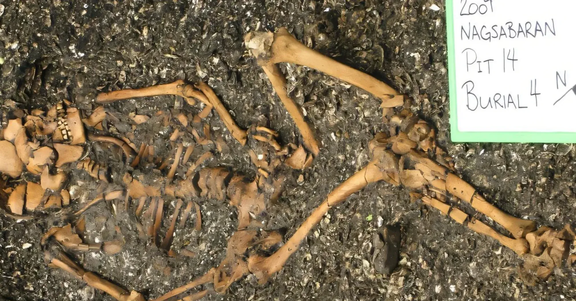 Вчені виявили на Філіппінах поховання віком 4000 років: чим були вражені (фото)