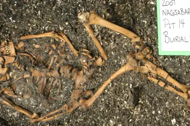 Вчені виявили на Філіппінах поховання віком 4000 років: чим були вражені (фото)