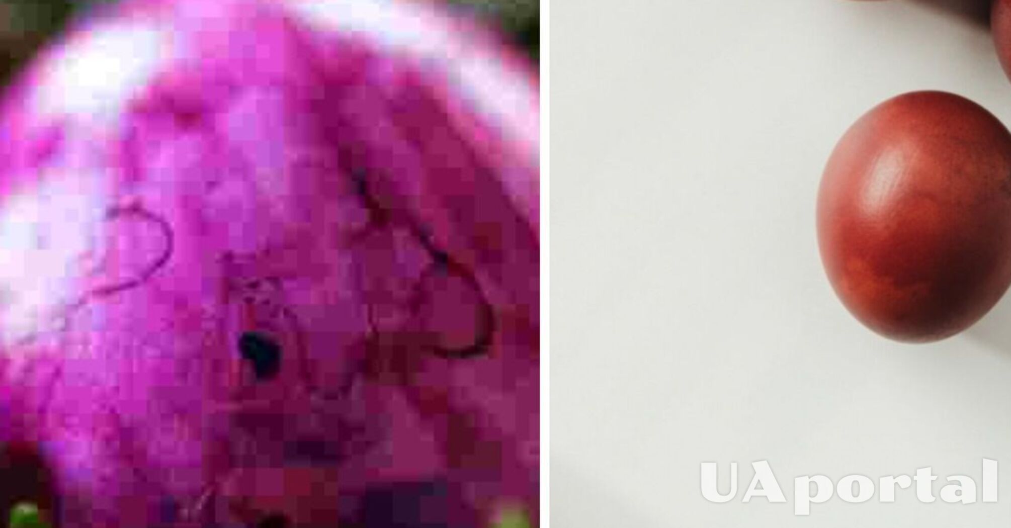 Всего один овощ – и яркие яйца к Пасхе готовы: как сделать красивые пасхальные яйца дома