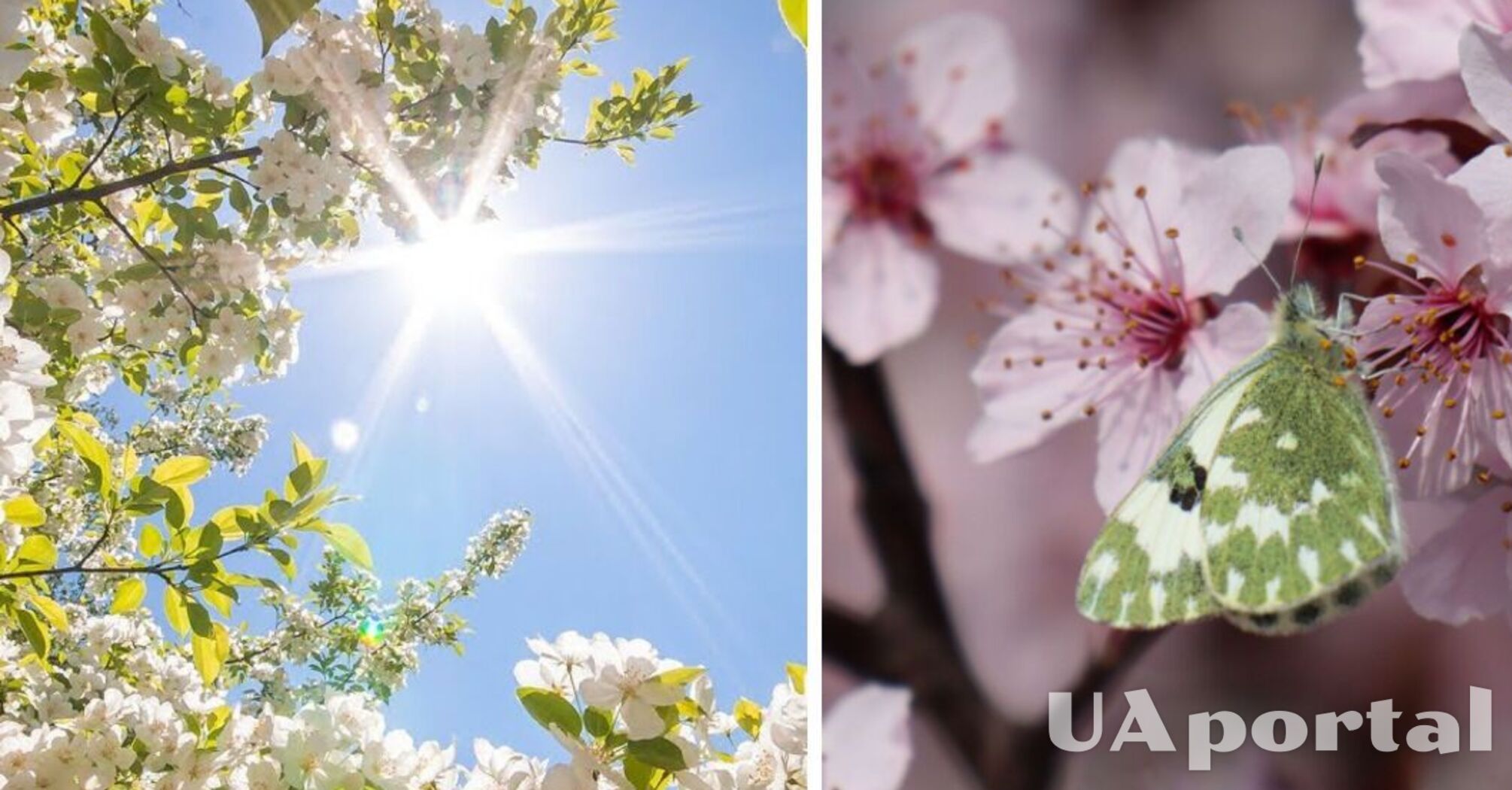 До 3 градусів морозу: прогноз погодив Україні на три дні    