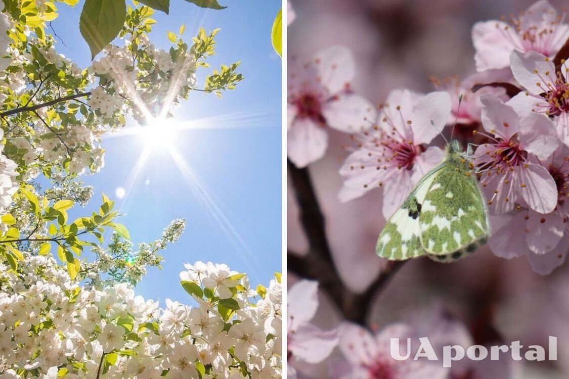 До 3 градусов мороза: прогноз погоды в Украине на три дня