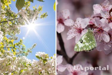 До 3 градусів морозу: прогноз погоди в Україні на три дні