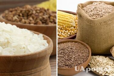 В Україні зросли ціни на популярні крупи: скільки коштують