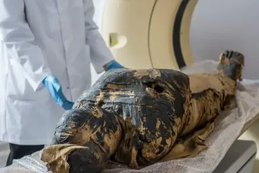 У єгипетських муміях виявили сліди наркотиків: науковці дали пояснення (фото)