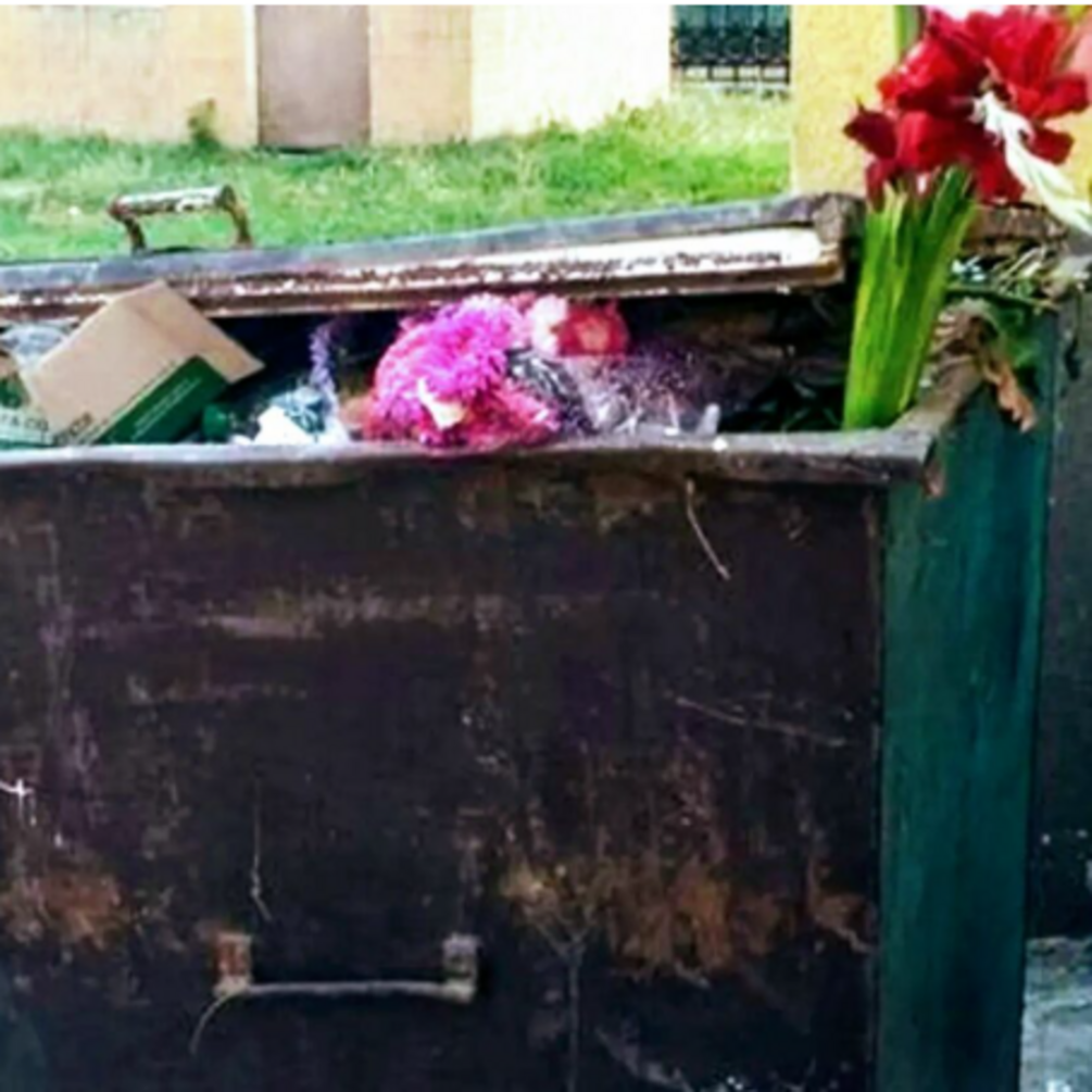 Помийка у квітах: коли мрія 'назад в СССР' привела не туди