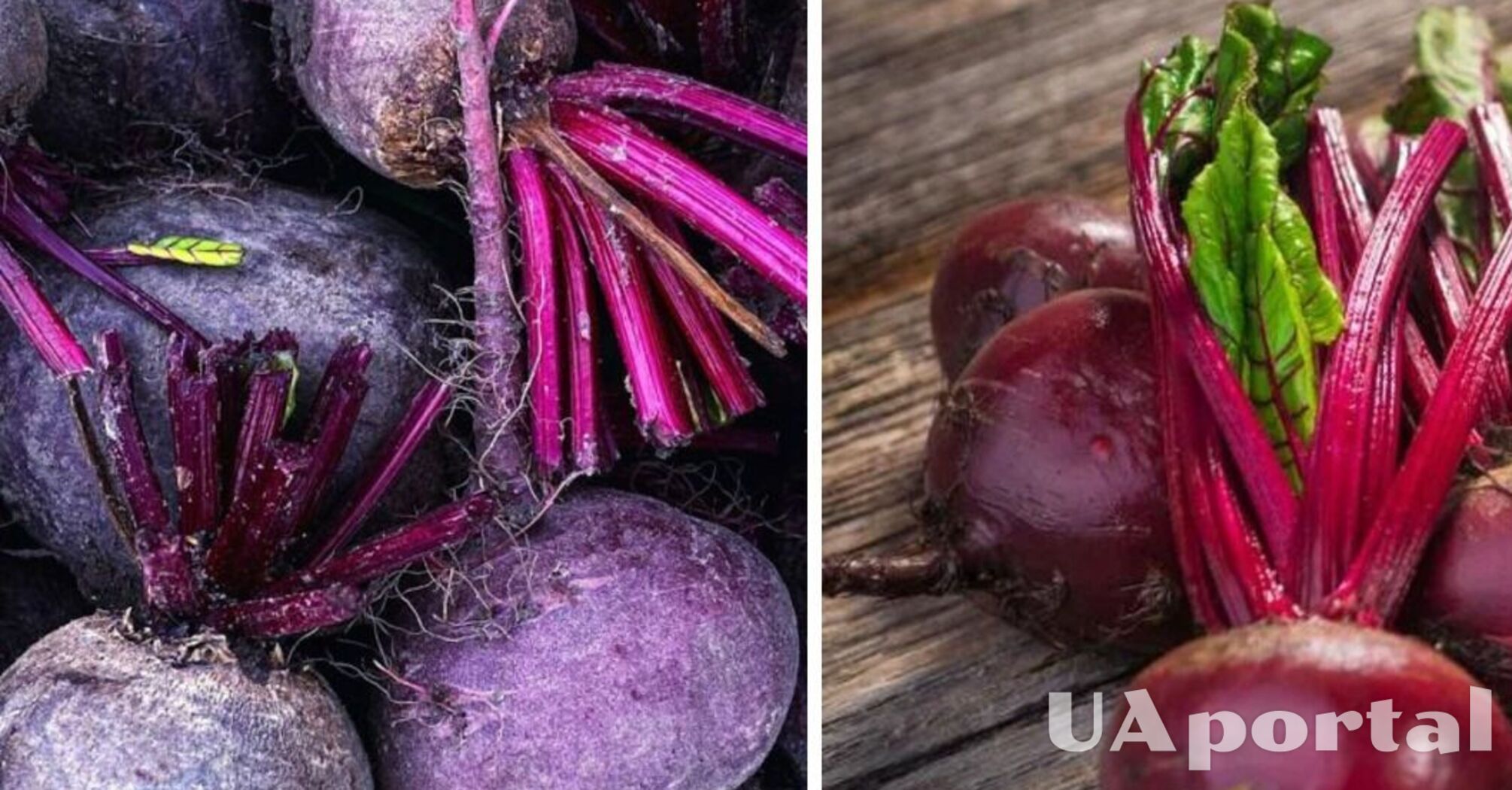 В Украине подешевел популярный овощ: сколько стоит