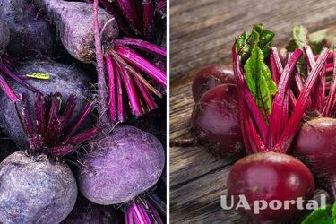 В Украине подешевел популярный овощ: сколько стоит