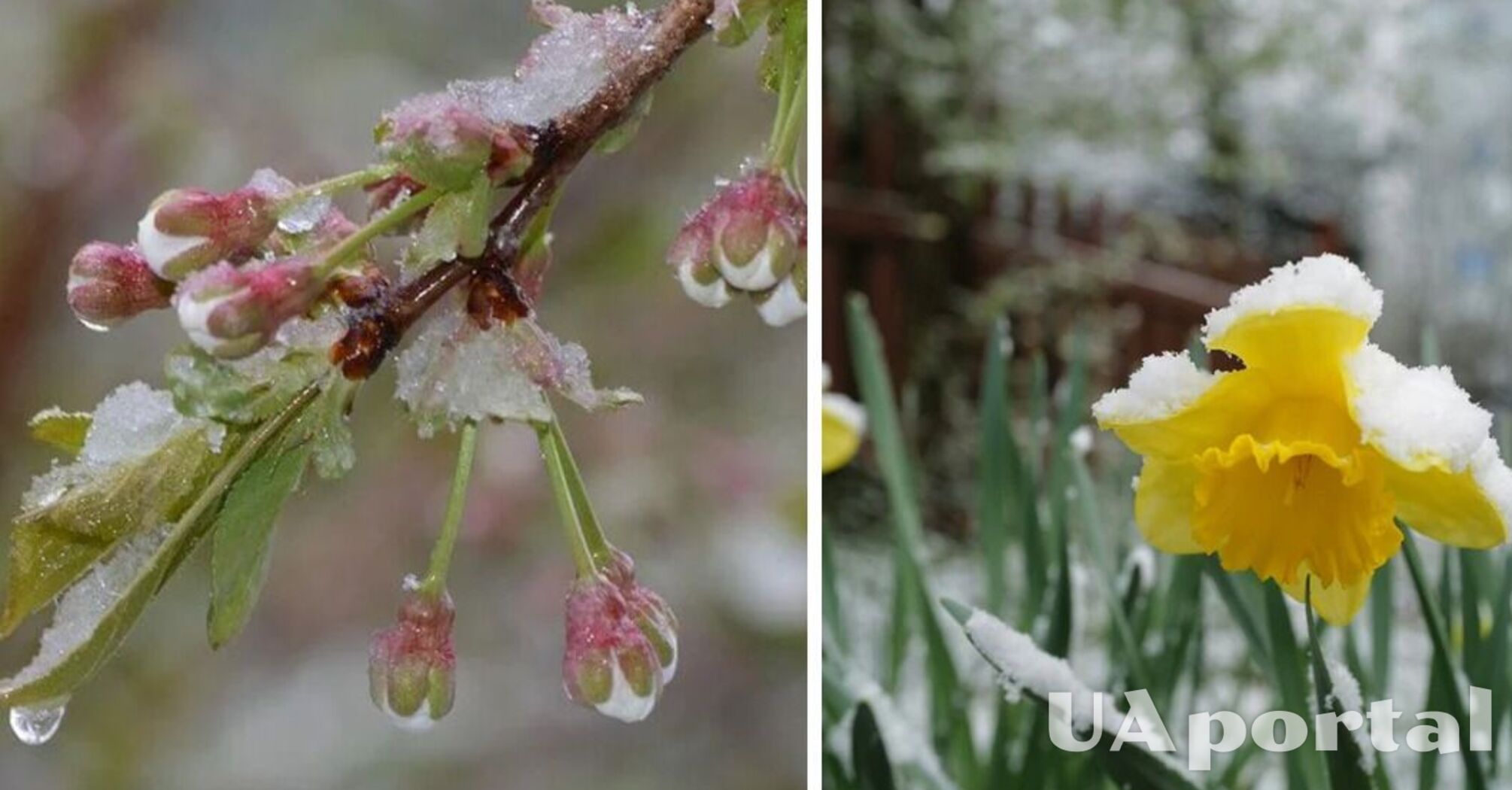 На Україну насувається похолодання до +1: коли очікувати дощів та мокрого снігу   