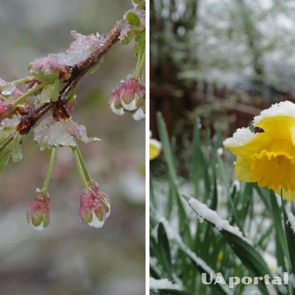 На Україну насувається похолодання до +1: коли очікувати дощів та мокрого снігу