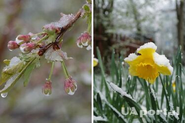 На Україну насувається похолодання до +1: коли очікувати дощів та мокрого снігу