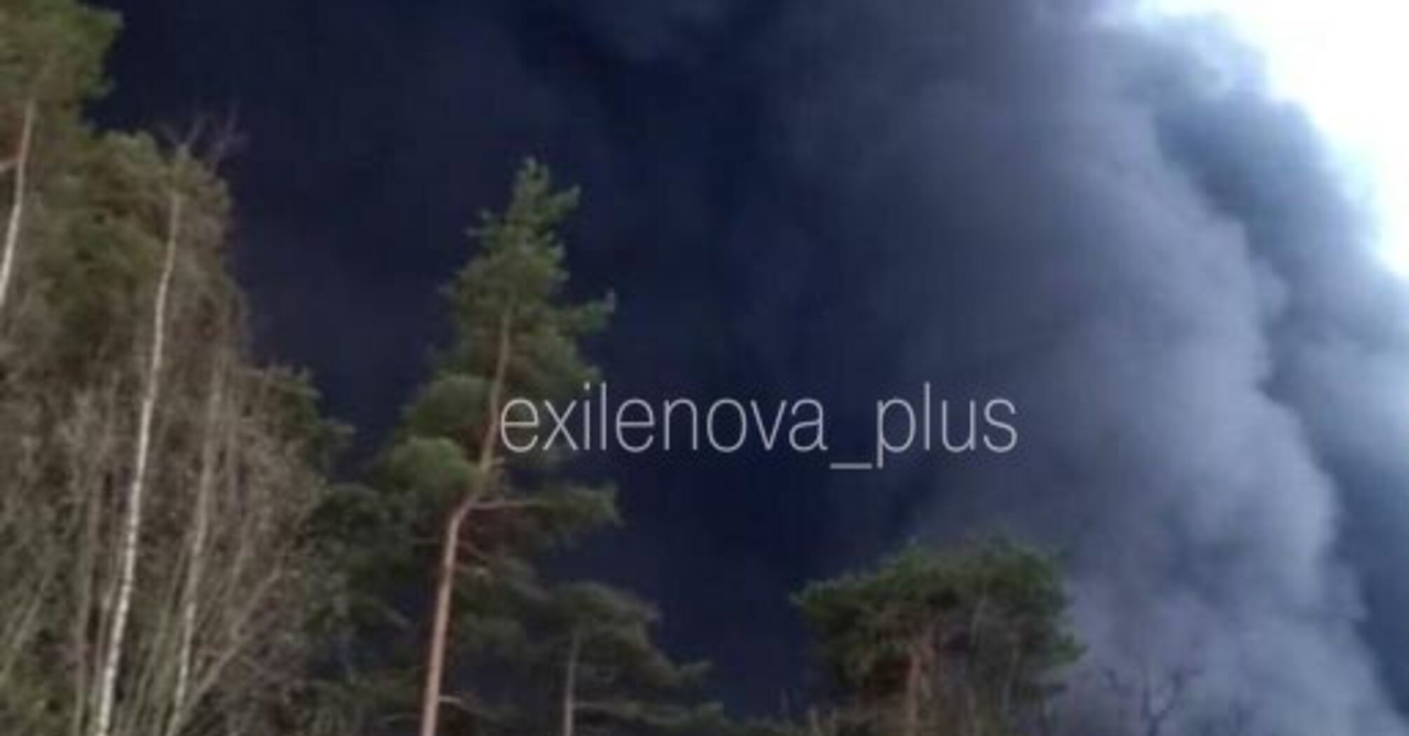 Дрони атакували порт у Ленінградський області рф: зайнялась масштабна пожежа (фото, відео)  