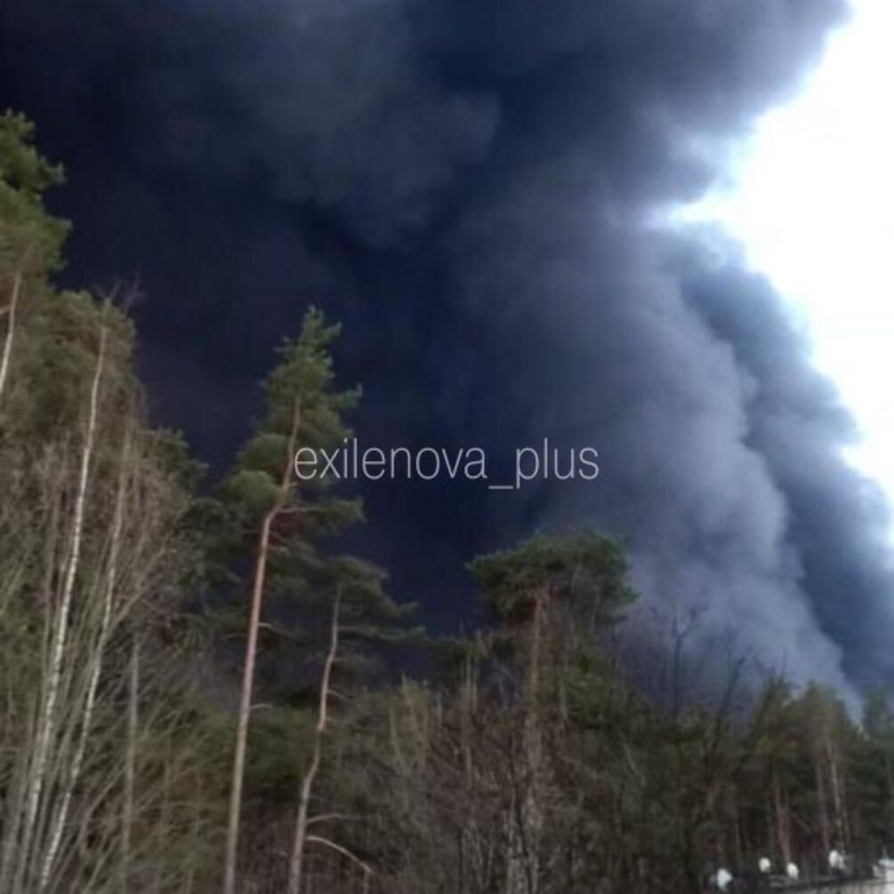 Дрони атакували порт у Ленінградський області рф: зайнялась масштабна пожежа (фото, відео)