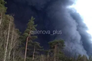 Дрони атакували порт у Ленінградський області рф: зайнялась масштабна пожежа (фото, відео)