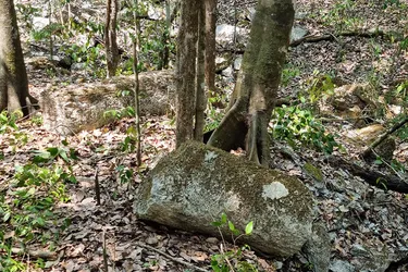 Надає нове уявлення про організацію торгівлі майя: на Юкатані знайшли унікальні архітектурні структури (фото)