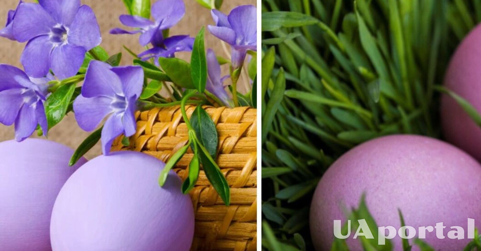 Цей інгредієнт є у вас вдома: як пофарбувати яйця у бузковий колір  