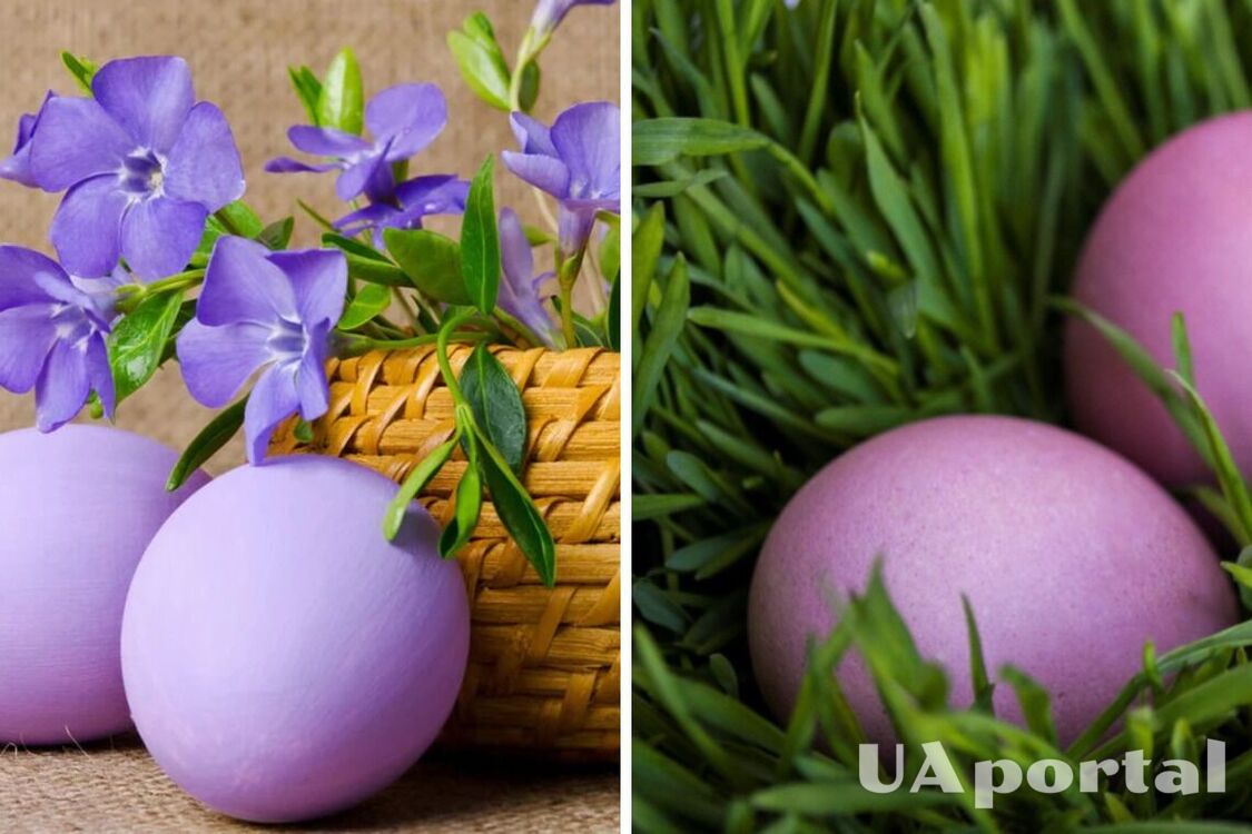 Как покрасить яйца в сиреневый цвет: простой способ, который повторит каждый