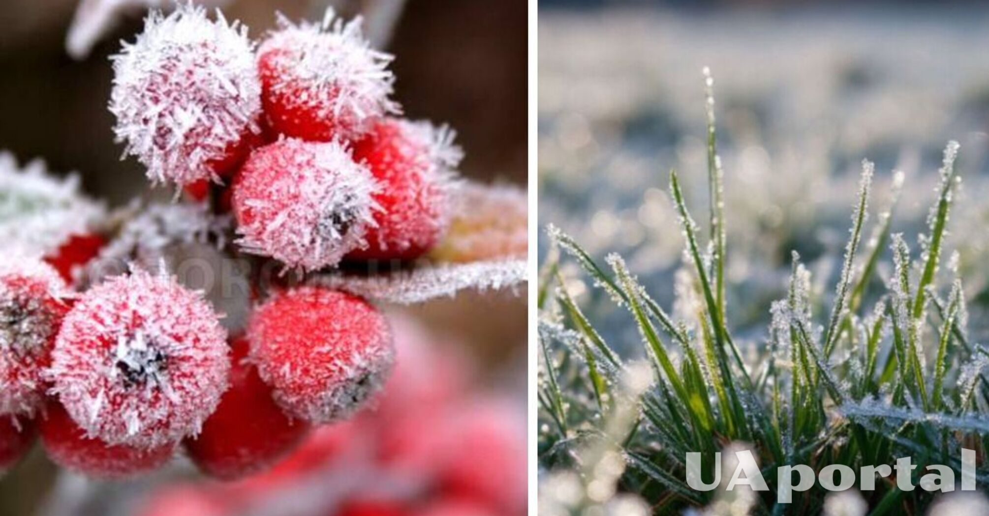 Снігопади та мороз нижче нуля: Україну очікує різке похолодання на початку квітня  