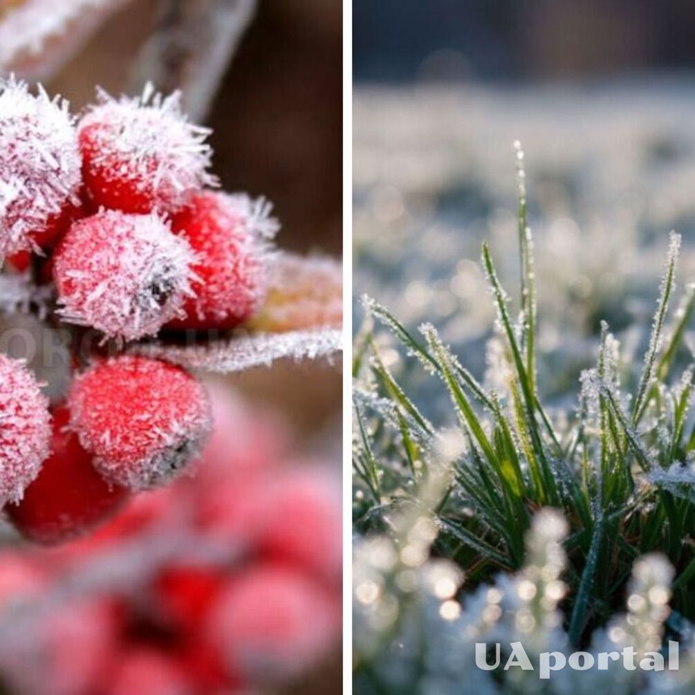 Снігопади та мороз нижче нуля: Україну очікує різке похолодання на початку квітня