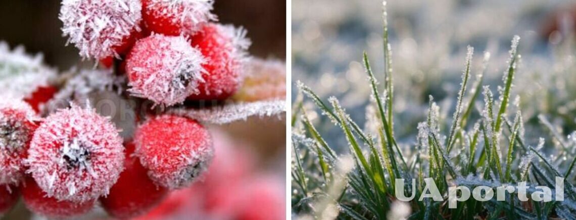 Снегопады и мороз ниже нуля: Украину ожидает резкое похолодание в начале апреля