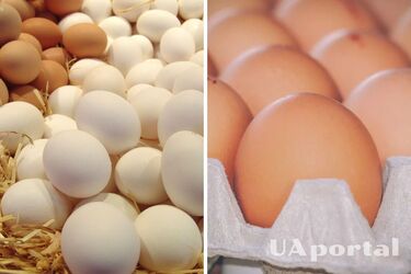 В преддверии Пасхи резко возросла стоимость популярного продукта: сколько стоит