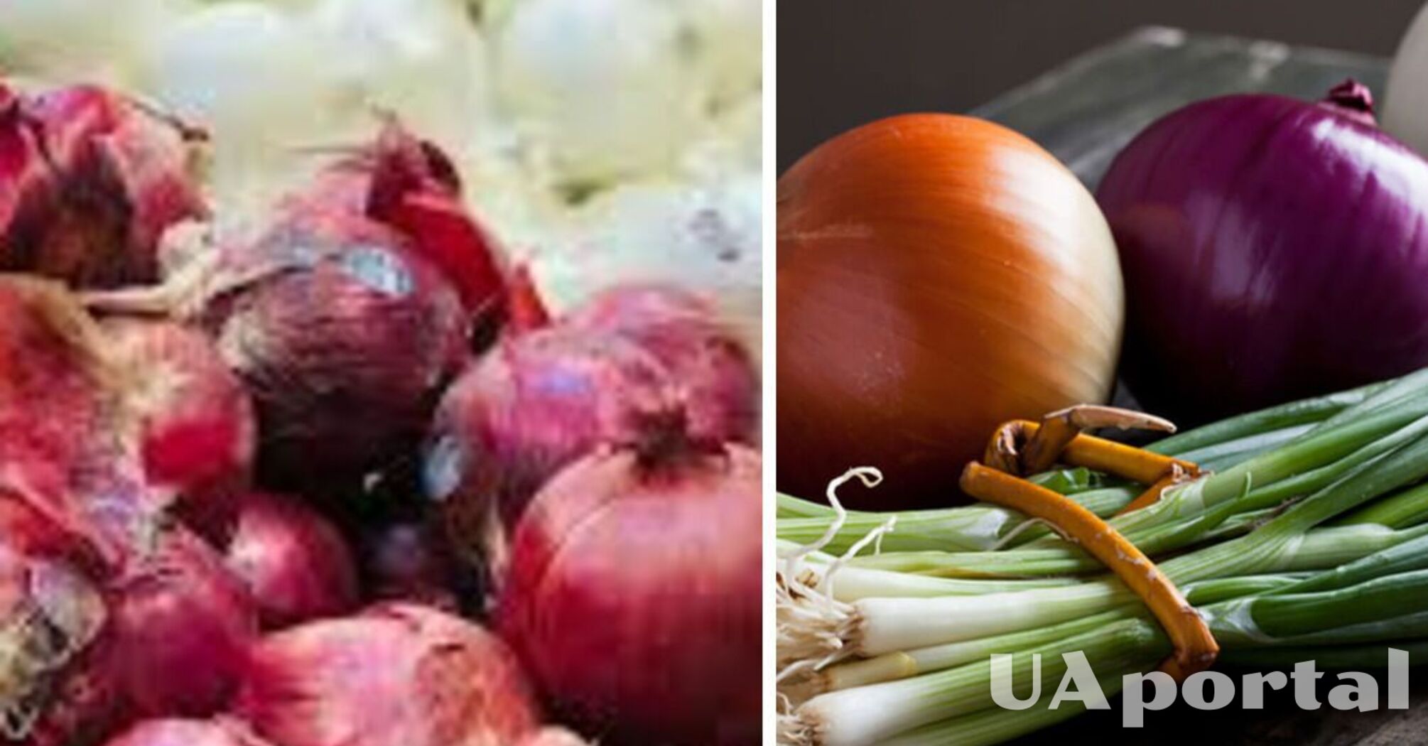 В Украине упала цена на популярный овощ: сколько стоит