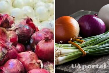 В Україні впала ціна на популярний овоч: скільки коштує