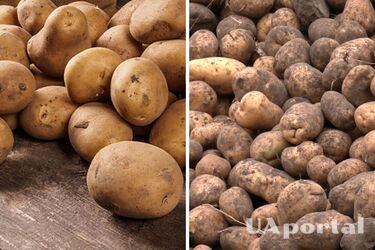 В Украине резко подешевел популярный овощ: сколько стоит