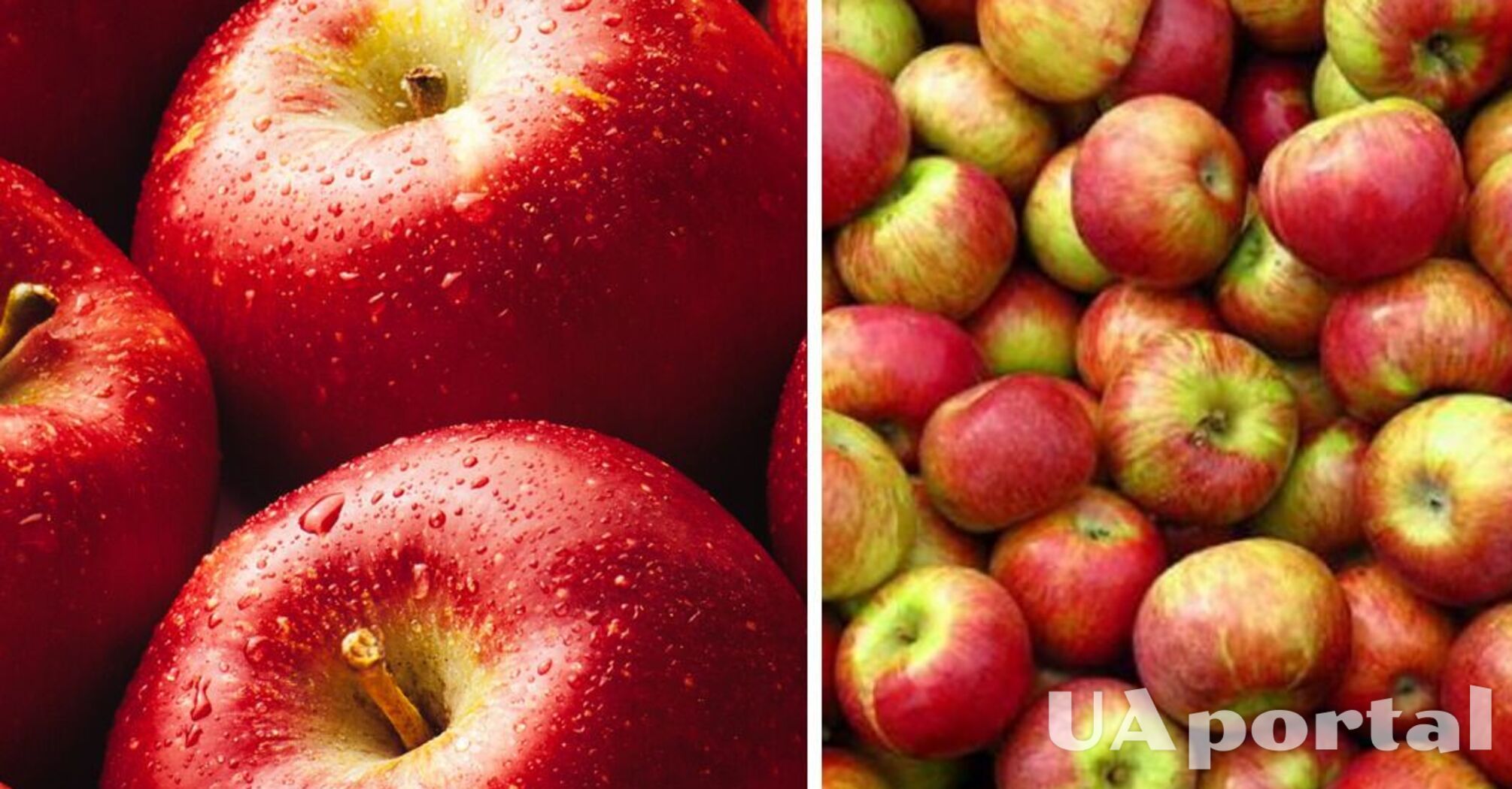 В Україні подорожчав популярний фрукт: скільки коштує  