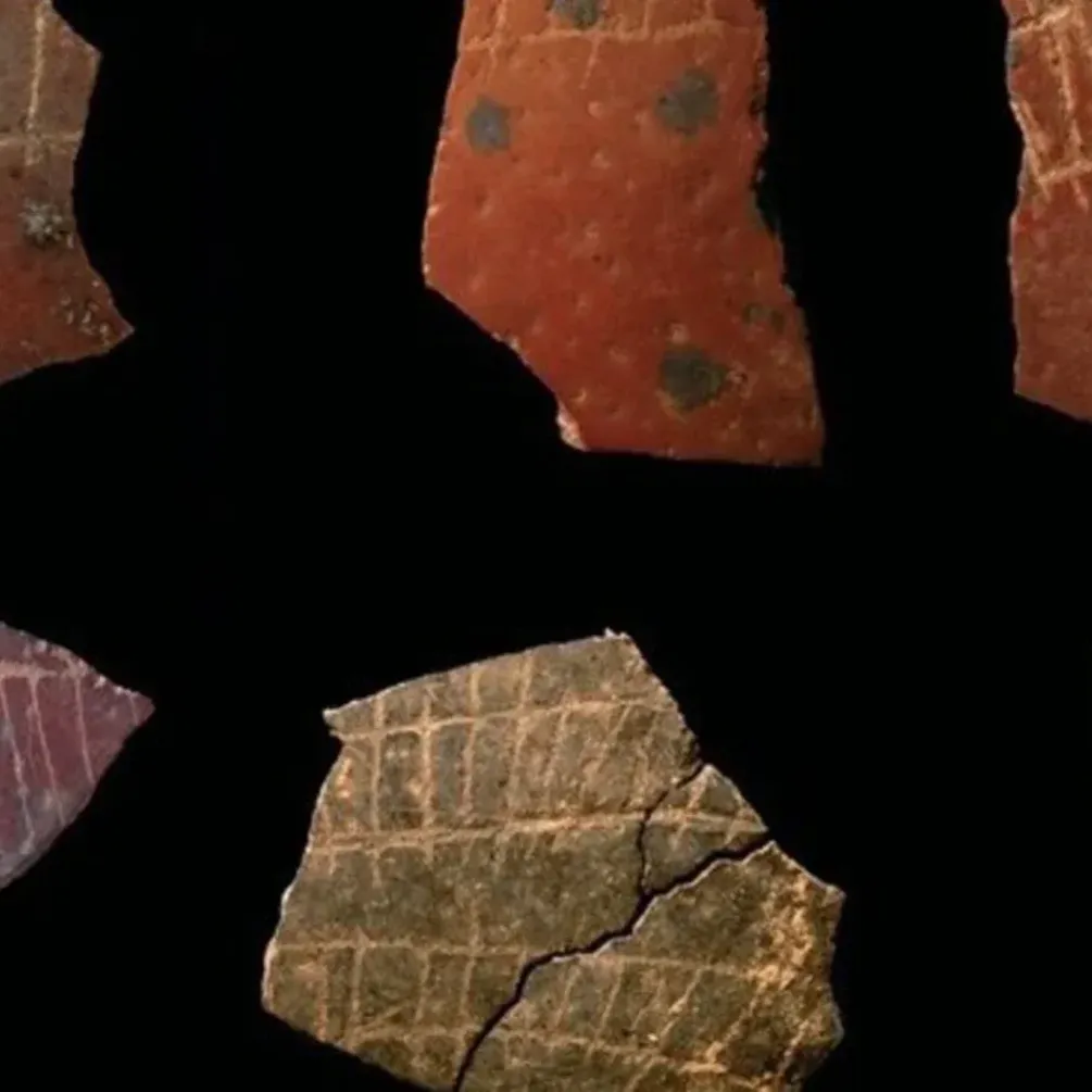 Вчені показали найдавніші геометричні малюнки людства (фото)