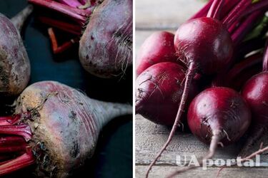 В Украине дешевеет популярный овощ: сколько стоит