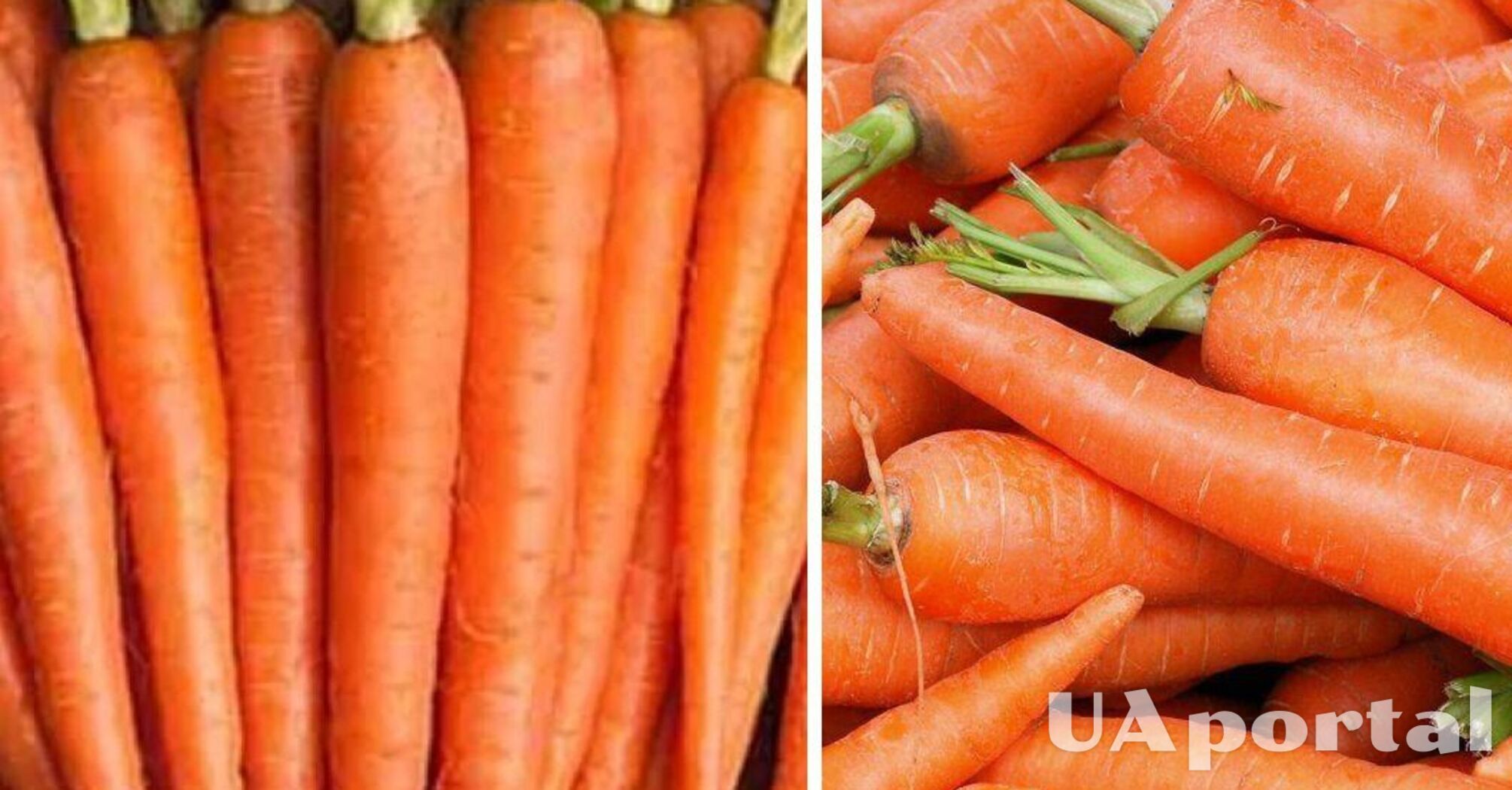 В Україні подорожчав один з овочів борщового набору: скільки коштує  