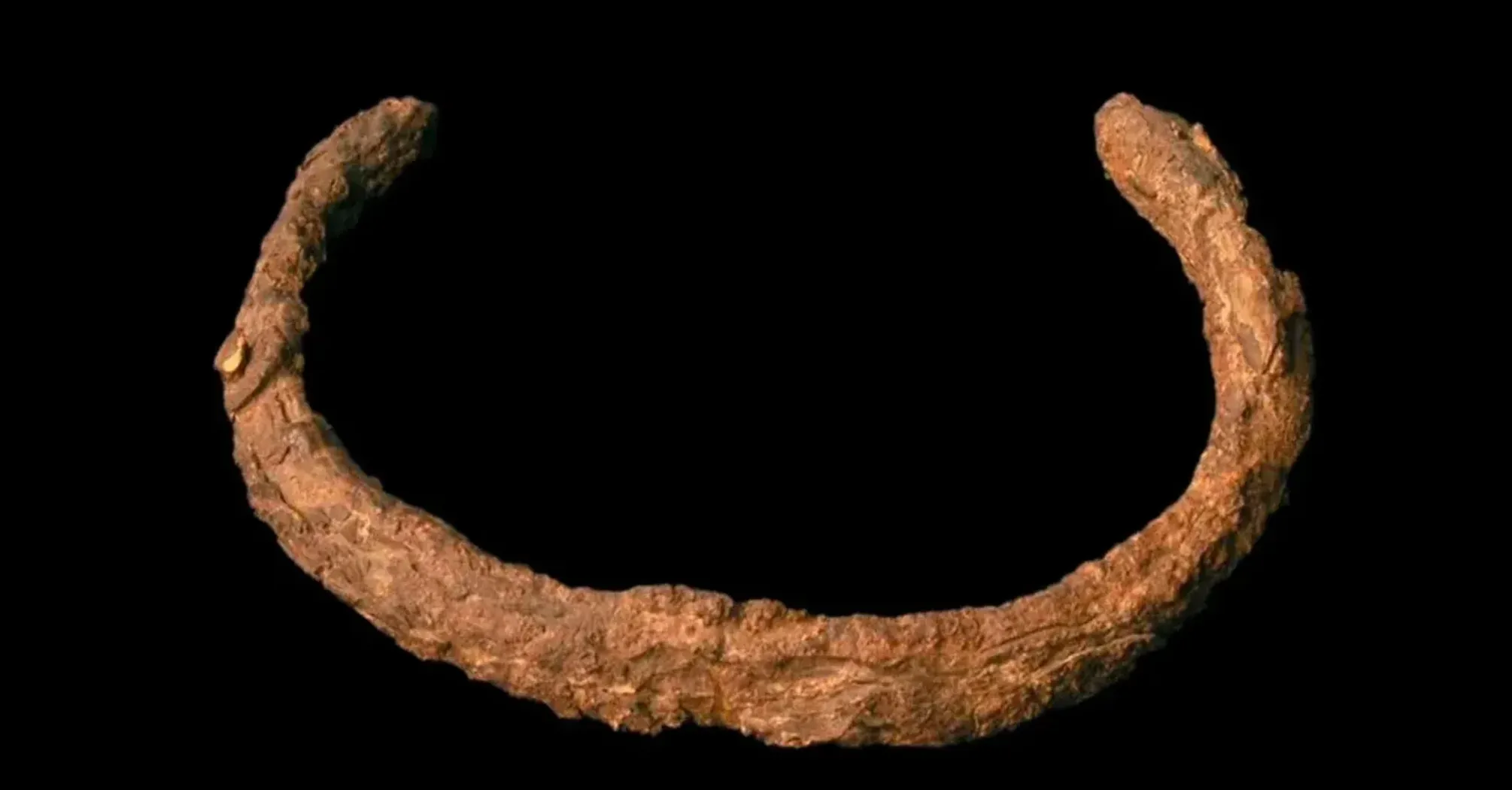 У Китаї знайшли унікальний браслет бронзової доби (фото)  