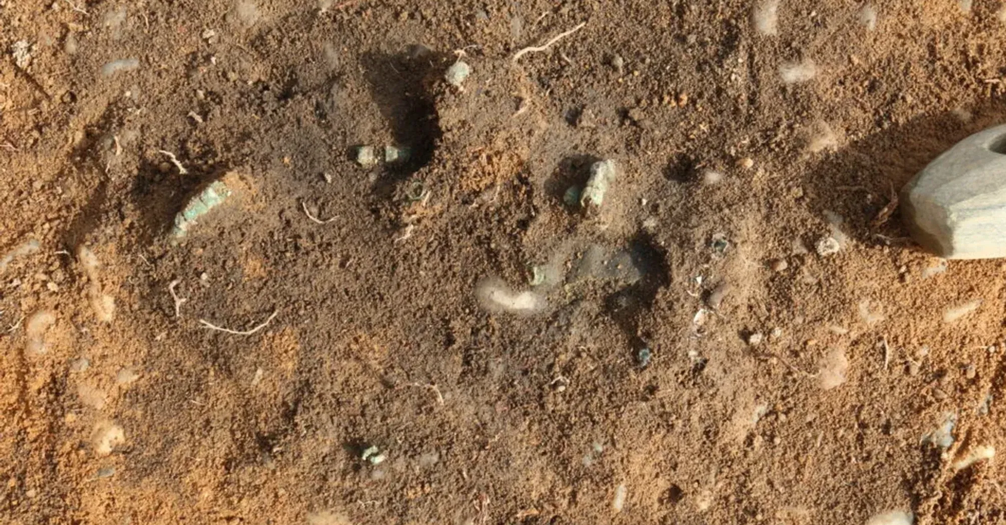 Надзвичайно добре зберігся: у Німеччині знайшли некрополь віком 4500 років (фото)  