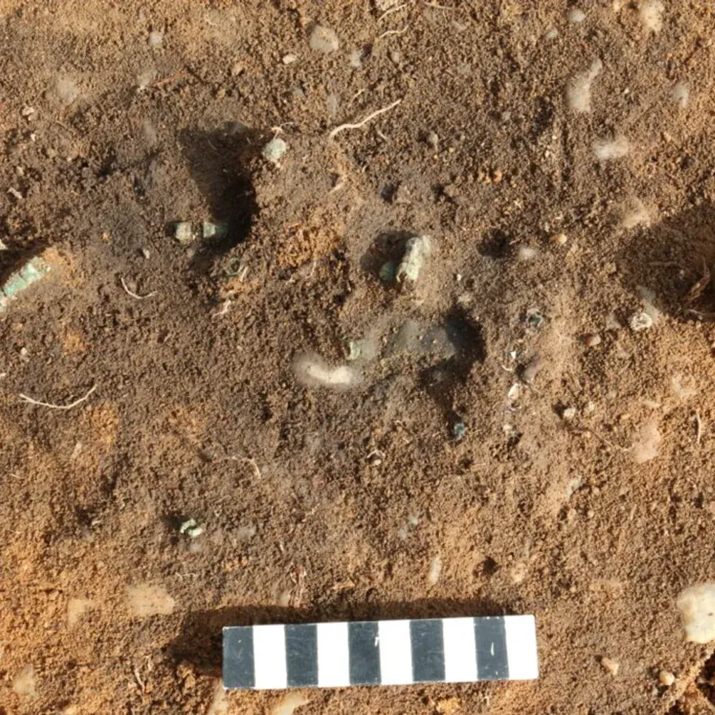 Очень хорошо сохранился: в Германии нашли некрополь в возрасте 4500 лет (фото)